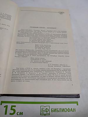 Петербург в русском очерке XIX века