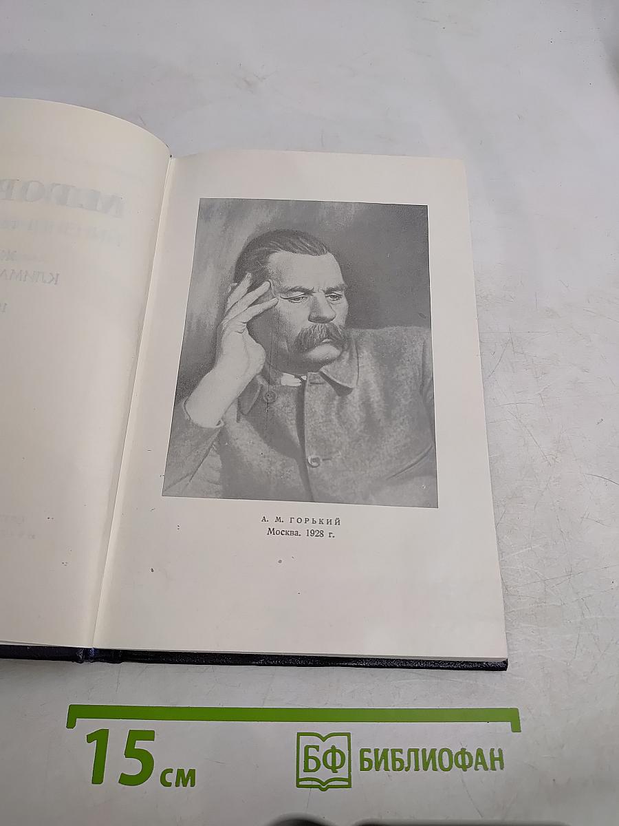 Собрание сочинений в тридцати томах. Том 21. Жизнь Клима Самгина