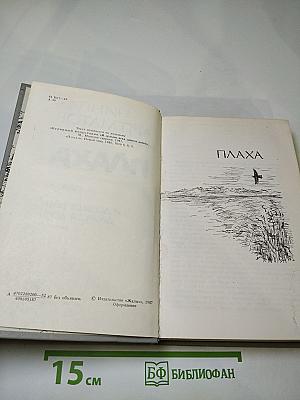 Плаха. И дольше века длится день