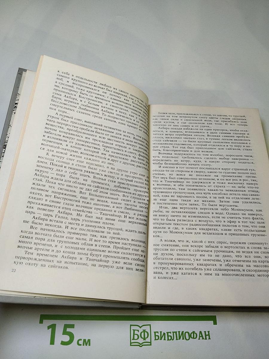 Плаха. И дольше века длится день