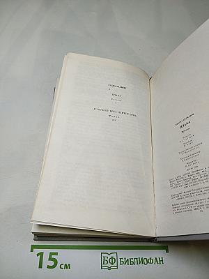 Плаха. И дольше века длится день