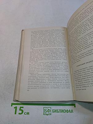 В стране пирамид