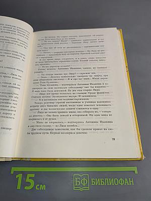 Самая высокая лестница