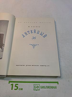 Литейный, 36