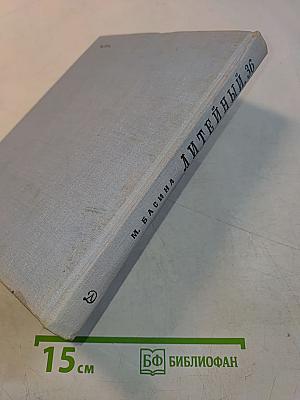 Литейный, 36