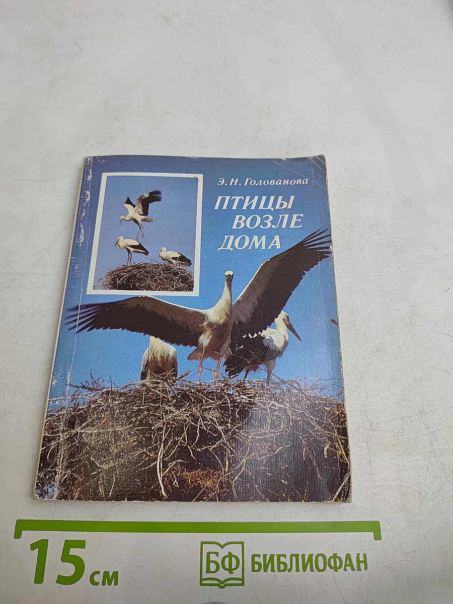 Птицы возле дома