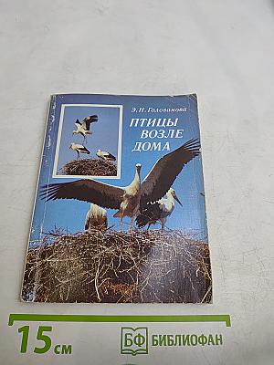 Птицы возле дома
