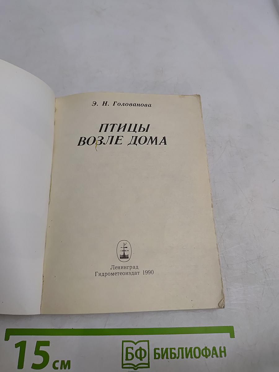 Птицы возле дома