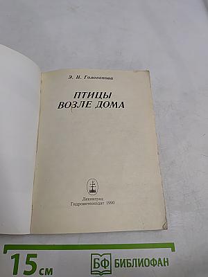 Птицы возле дома