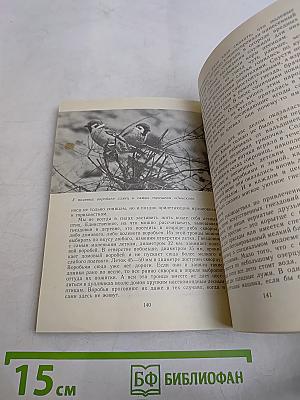 Птицы возле дома