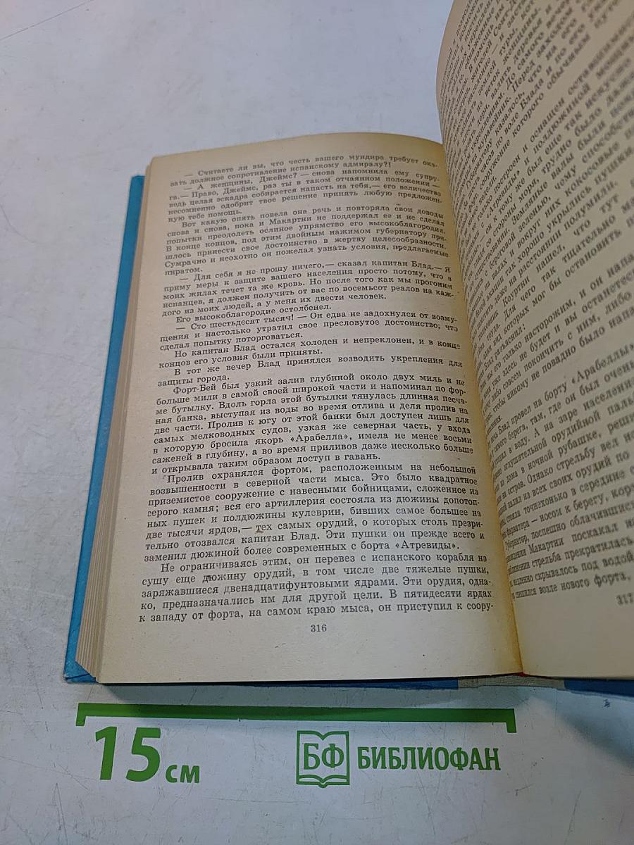 Одиссея капитана Блада. Хроника капитана Блада