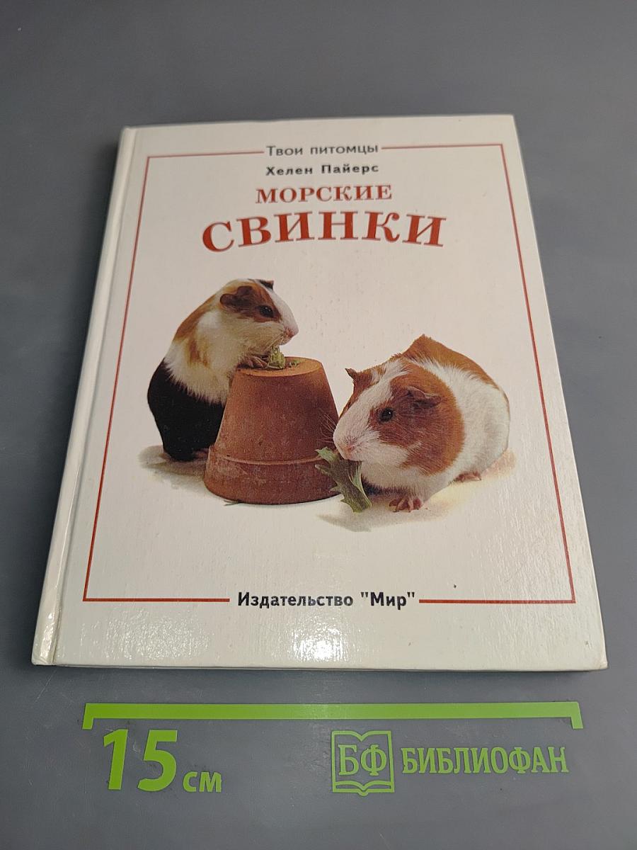 Морские свинки