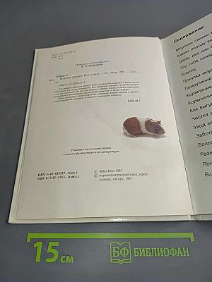 Морские свинки