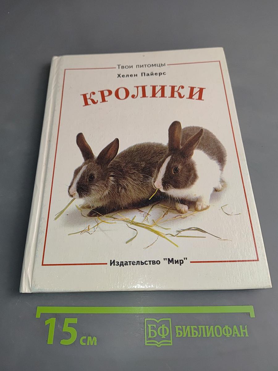 Морские свинки