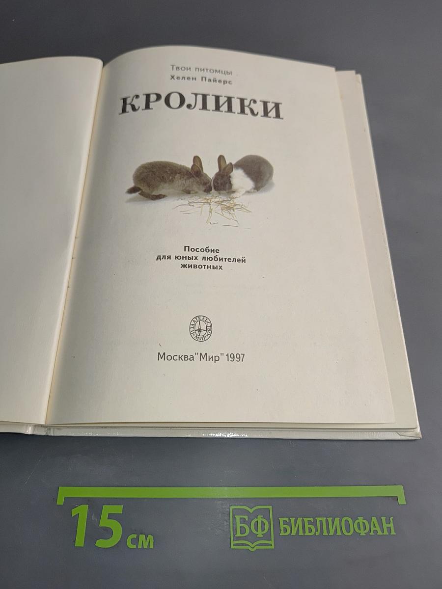 Морские свинки