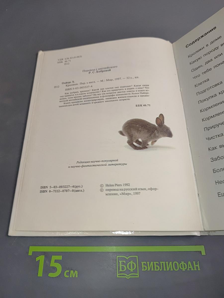 Морские свинки