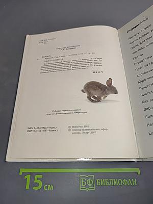 Морские свинки