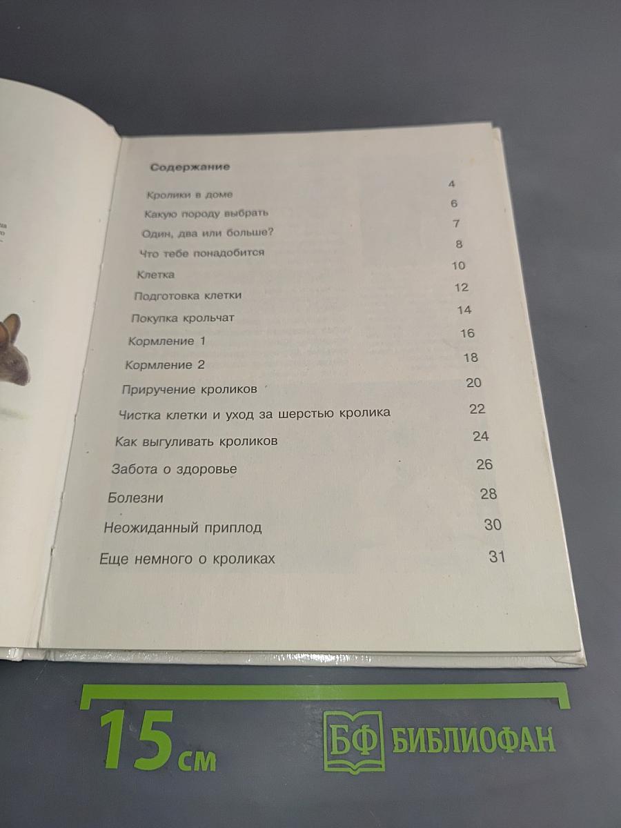 Морские свинки