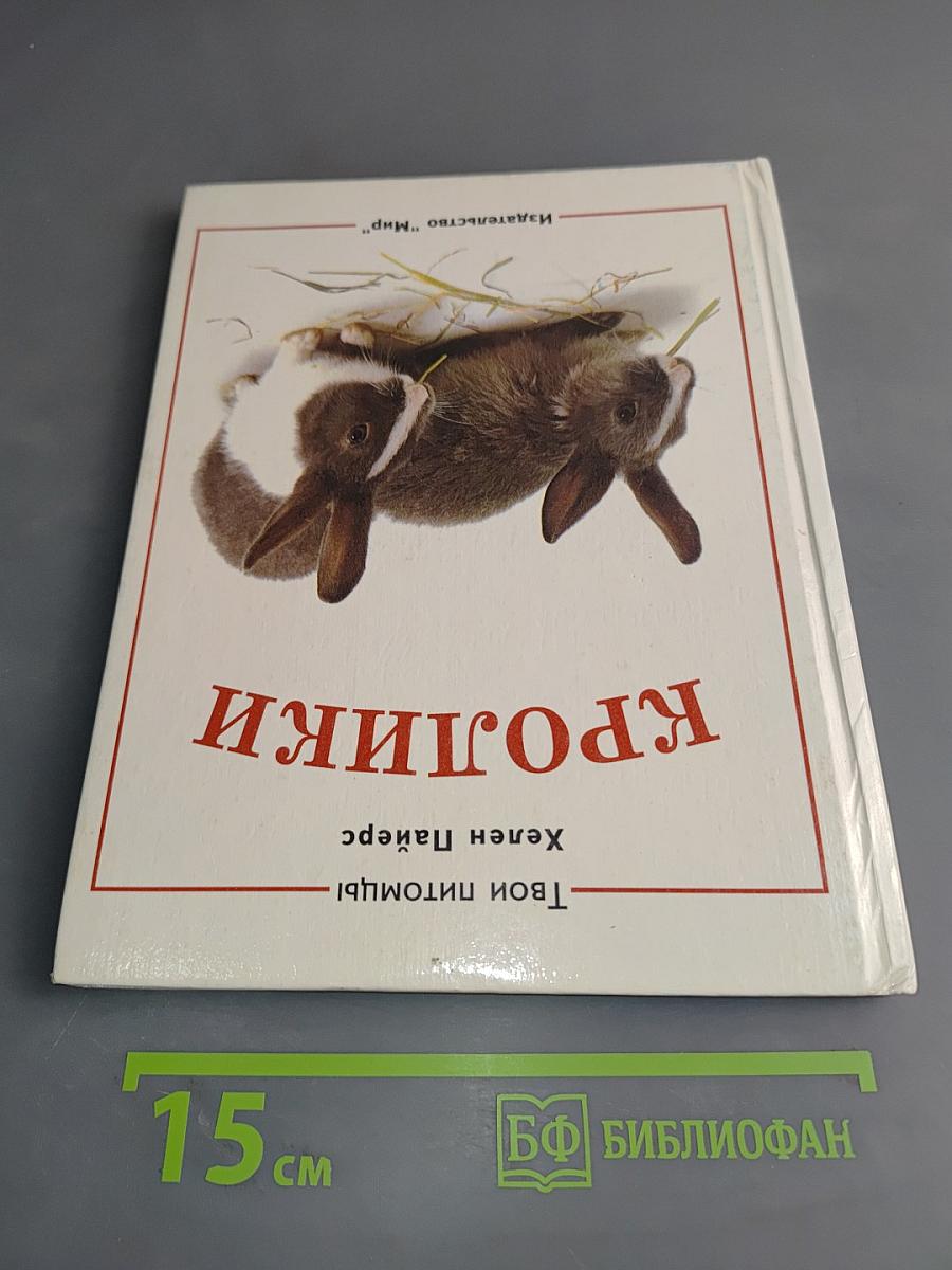 Морские свинки