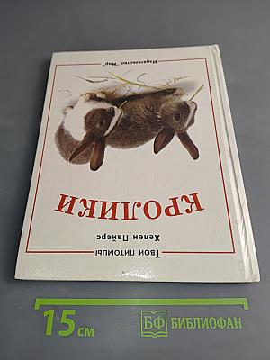 Морские свинки