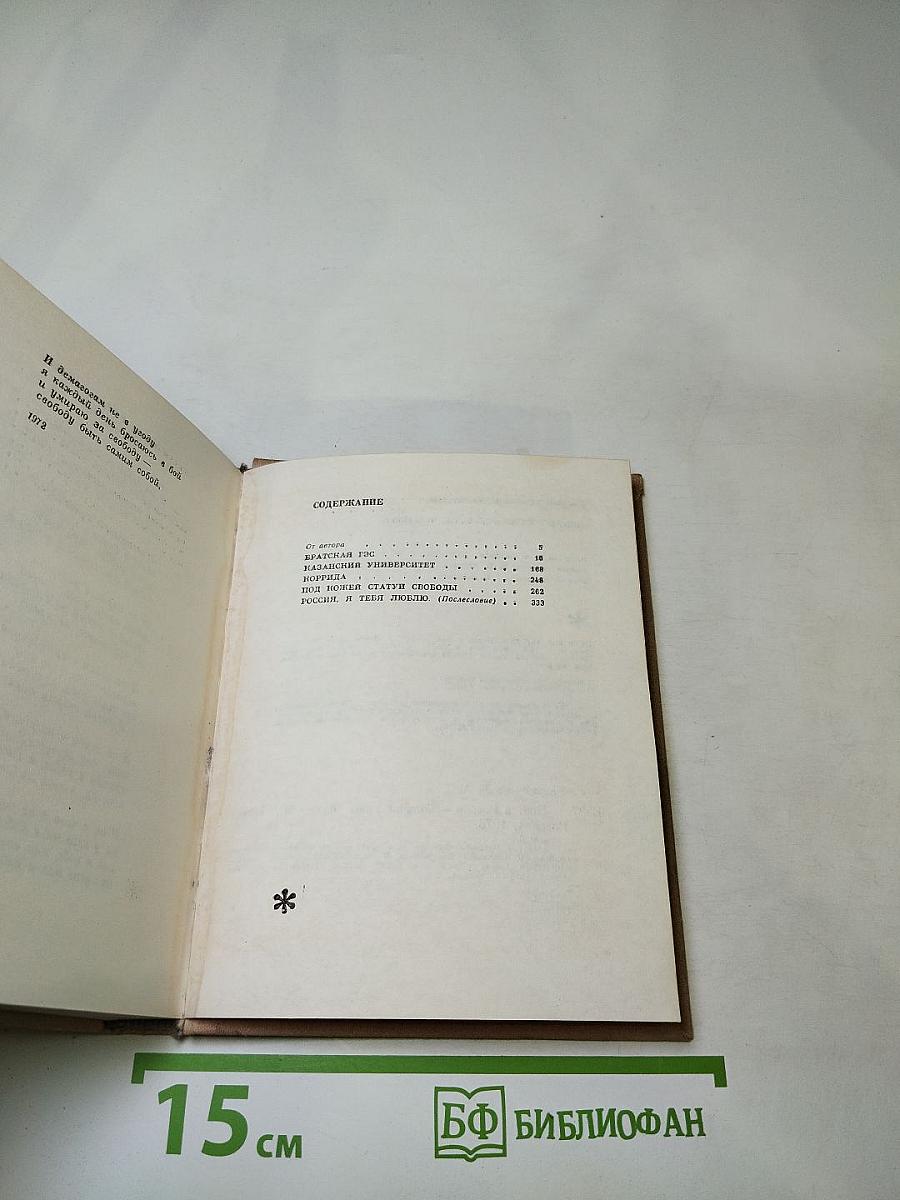 Поэт в России – больше, чем поэт. Четыре поэмы