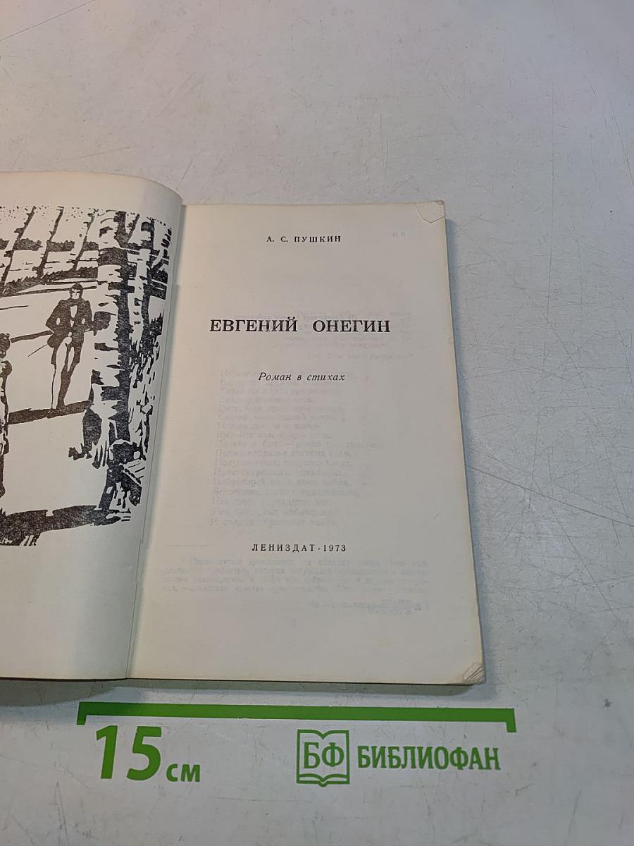 Евгений Онегин