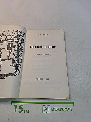 Евгений Онегин
