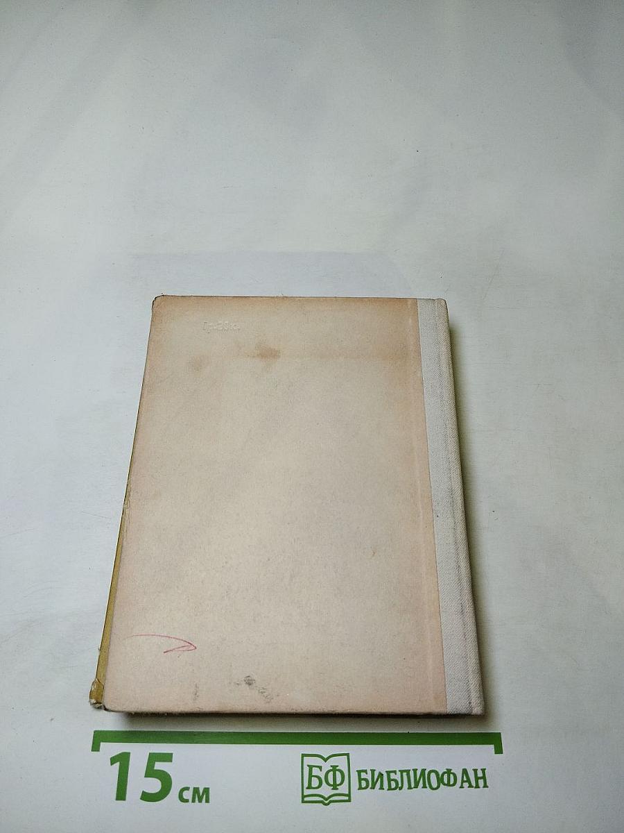 Суворов в Петербурге