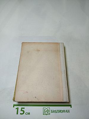 Суворов в Петербурге