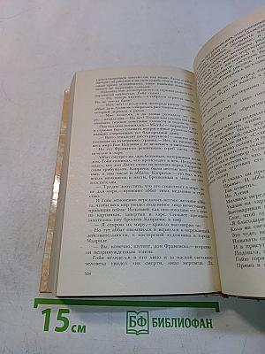 Гойя, или Тяжкий путь познания