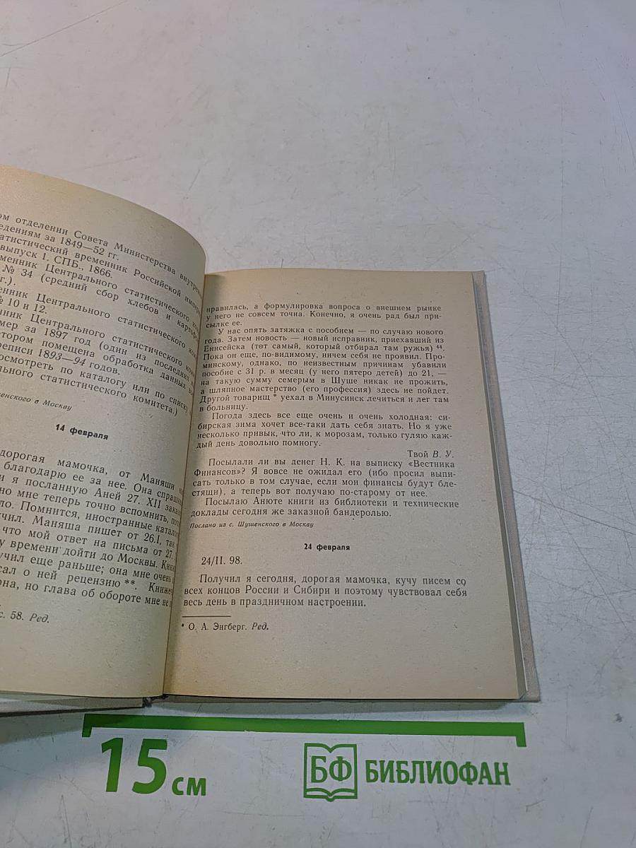 Любящий тебя В. Ульянов. Письма В. И. Ленина матери