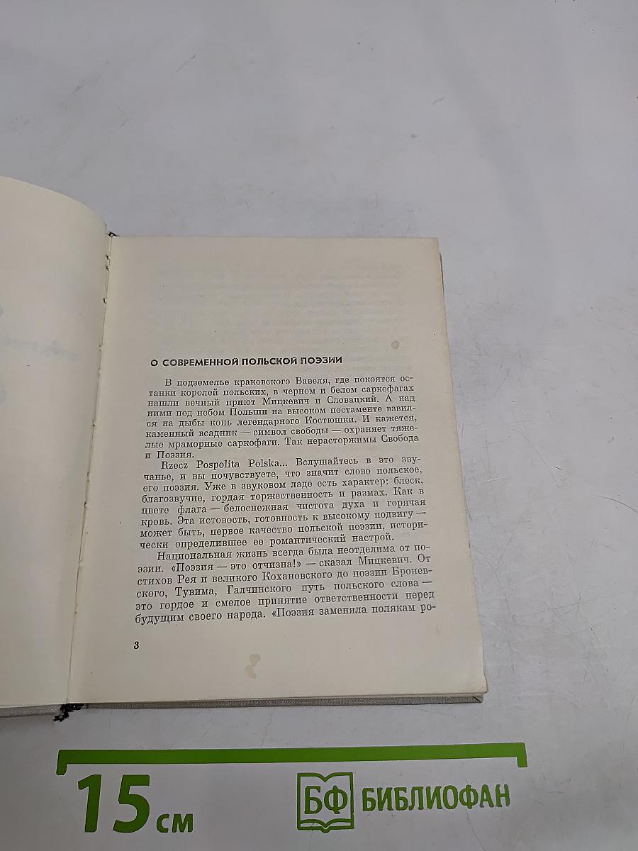 Современная польская поэзия