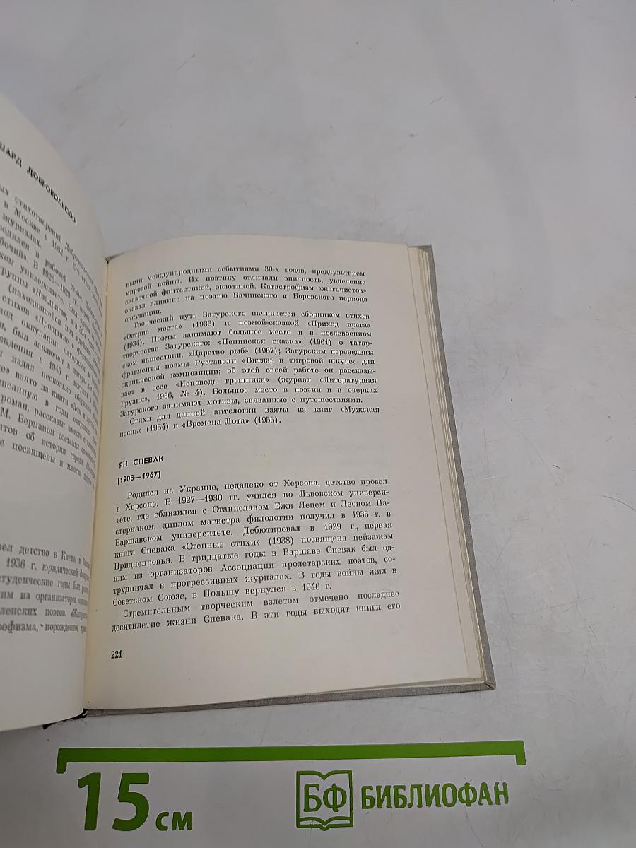 Современная польская поэзия