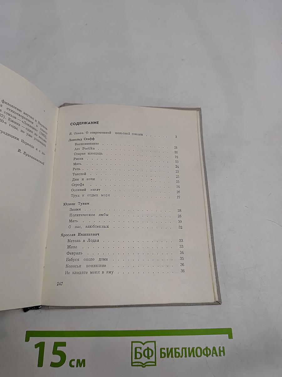 Современная польская поэзия