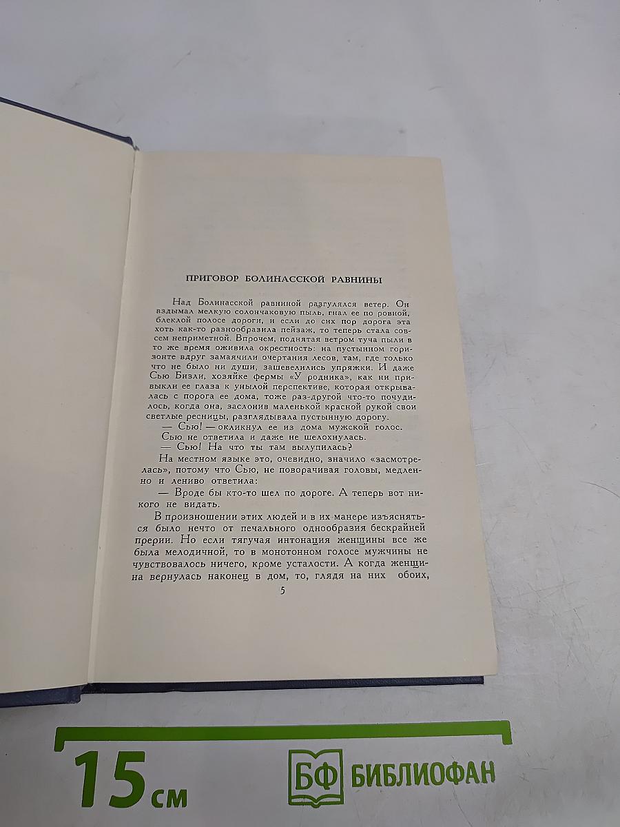 Брат и сестра. Собрание сочинений в шести томах. Том 6