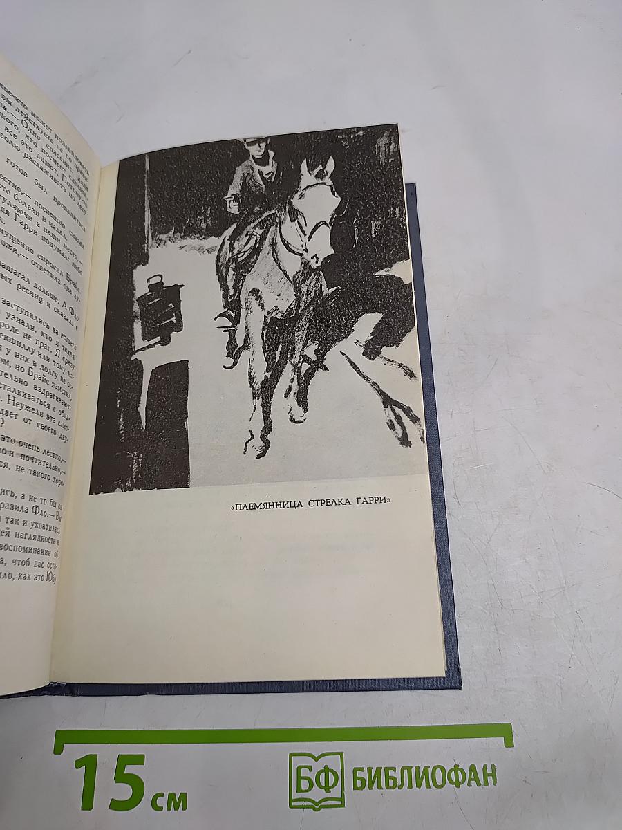 Брат и сестра. Собрание сочинений в шести томах. Том 6