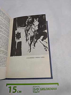 Брат и сестра. Собрание сочинений в шести томах. Том 6