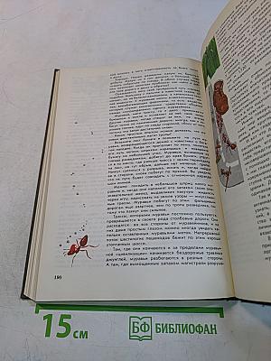 Мир животных. Рассказы о насекомых