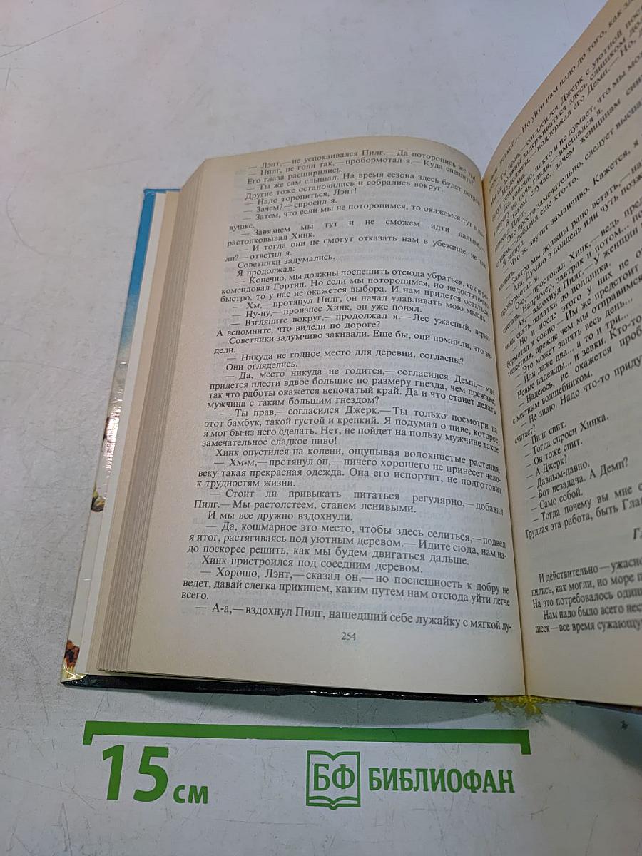 Защитник. Книга двенадцатая
