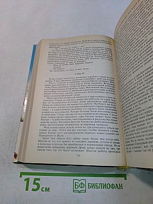 Защитник. Книга двенадцатая
