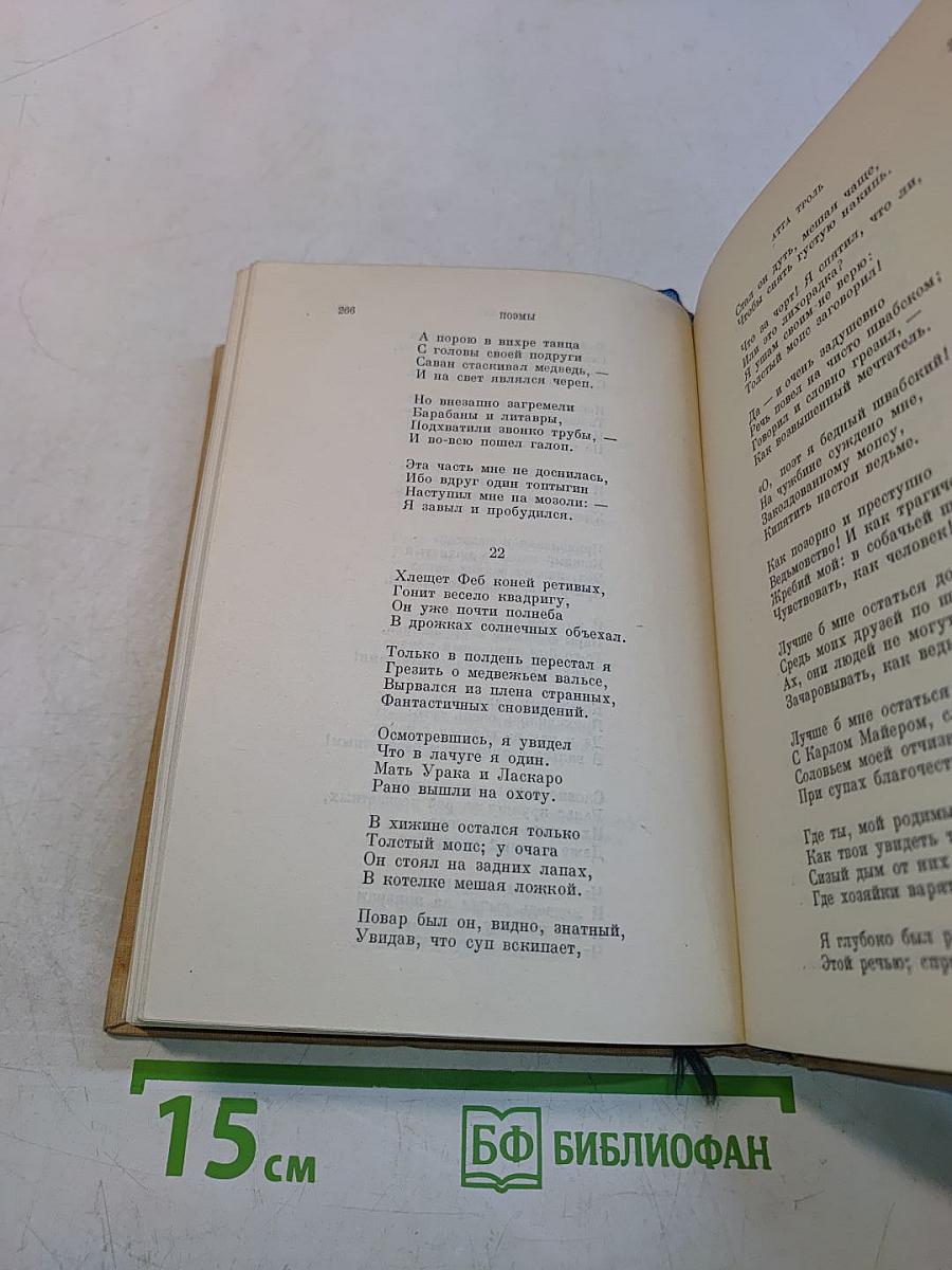 Новые стихотворения. Современные стихотворения. Атта Тролль. Германия