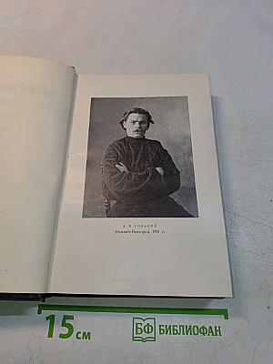 Собрание сочинений в тридцати томах. Том 6. Пьесы 1901-1906