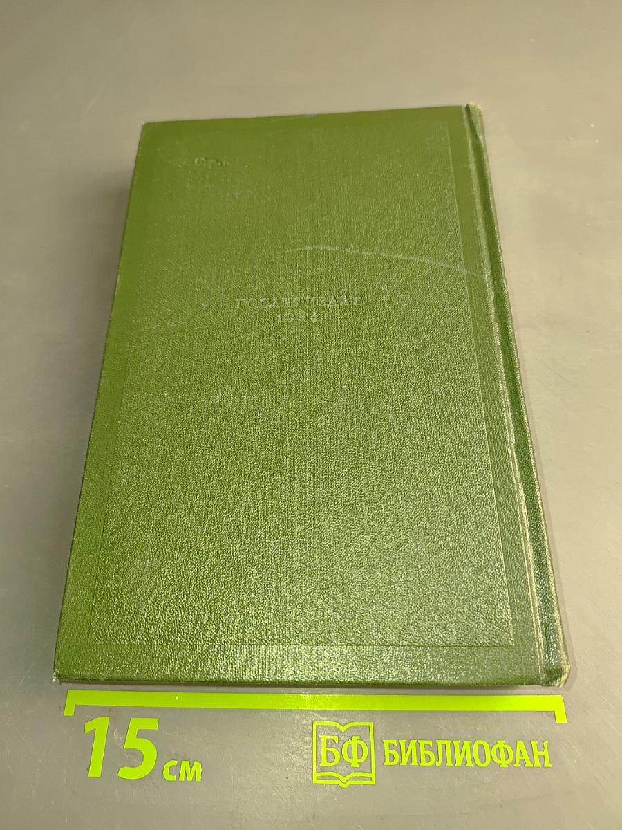 Собрание сочинений. Том пятый. Повести и рассказы 1844-1858 годов