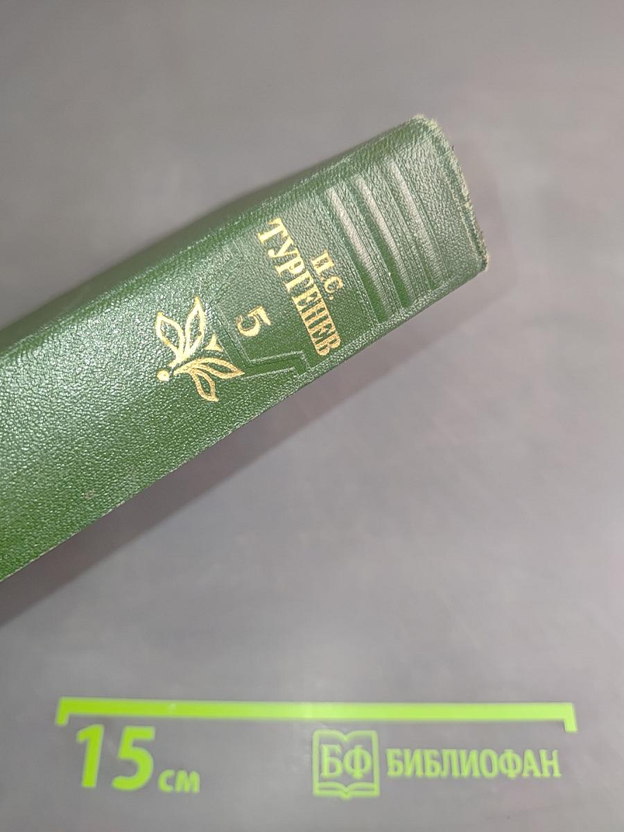 Собрание сочинений. Том пятый. Повести и рассказы 1844-1858 годов
