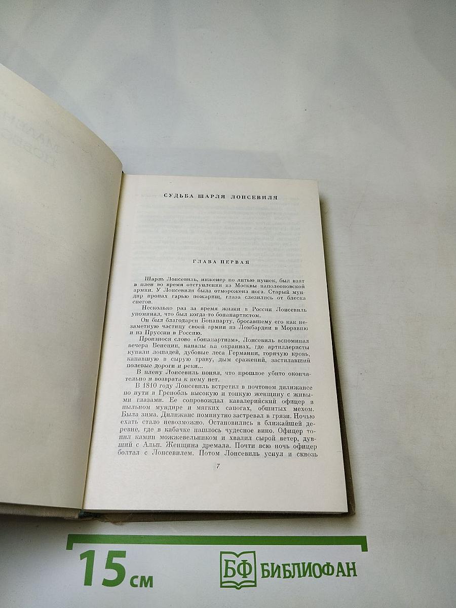 Собрание сочинений. Том шестой. Маленькие повести. Рассказы
