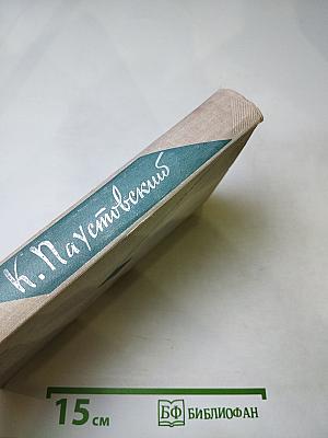 Собрание сочинений. Том шестой. Маленькие повести. Рассказы