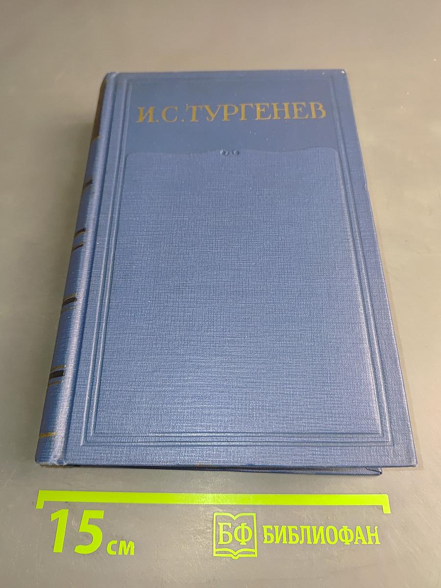 Полное собрание сочинений и писем. Том четвертый. Письма 1860-1862