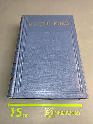 Полное собрание сочинений и писем. Том четвертый. Письма 1860-1862