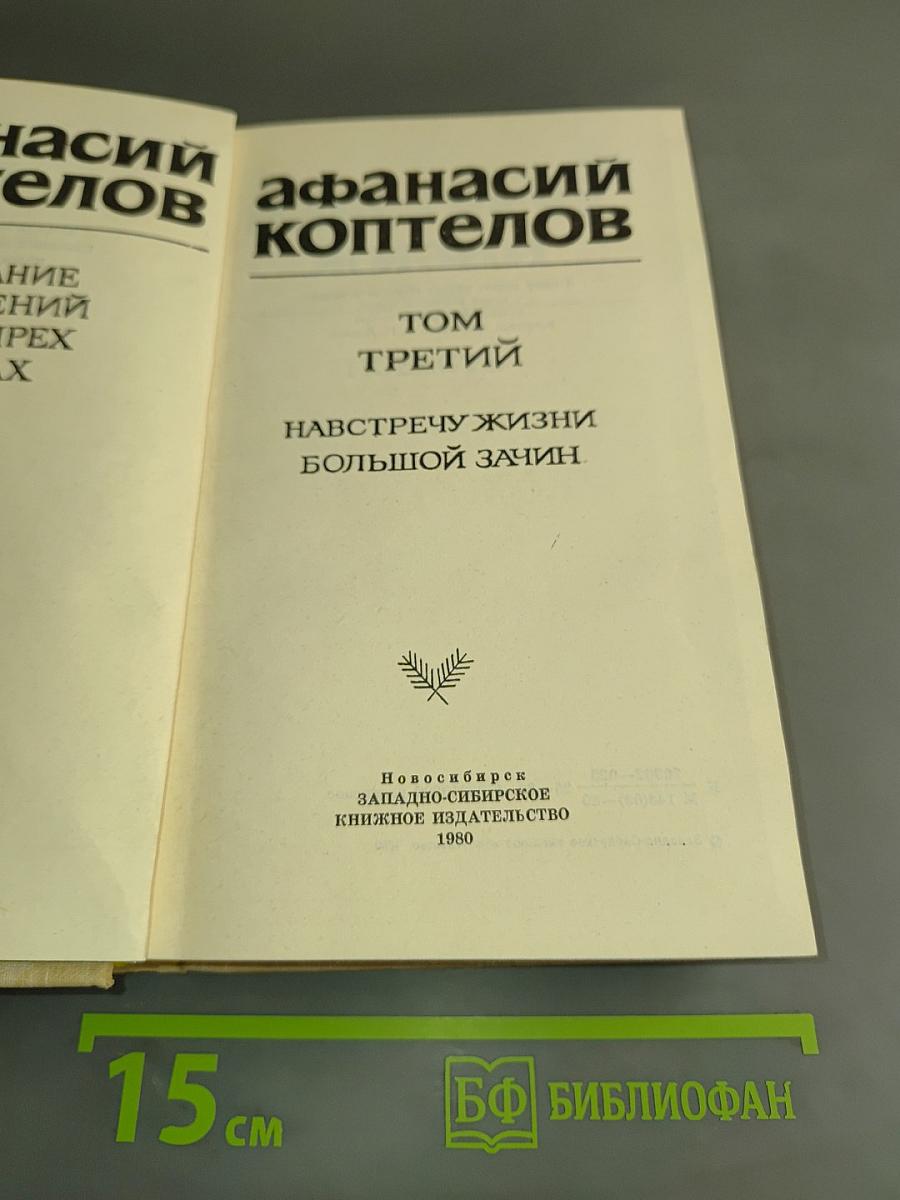 Навстречу жизни. Большой зачин. Том третий