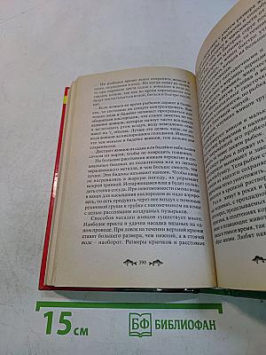Летняя рыбалка